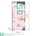 クリーンホームツルオカ6階11.0万円