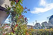 ★お部屋前の景色★