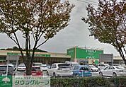 フードワン 八王子堀之内店 徒歩17分。スーパー 1310m