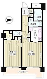 ラフィーネ阿佐谷 1LDKの間取図画像