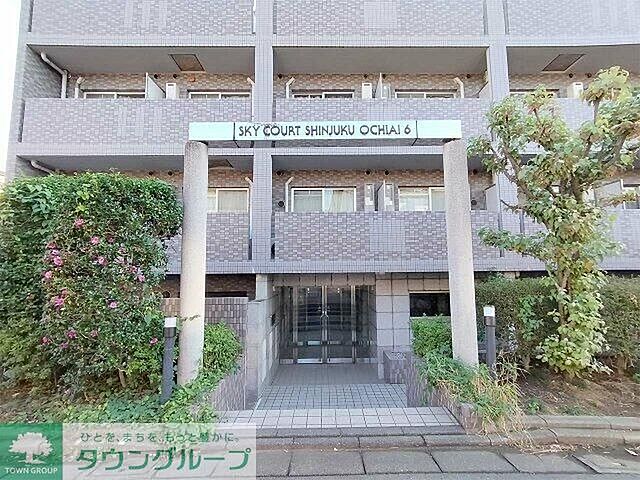 6 / 11