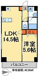 アークシティ松戸 1LDKの間取図画像