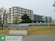 東京大学柏の葉キャンパス 2900m