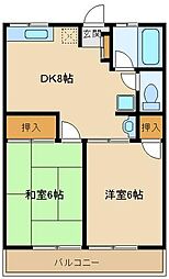 シティハイム・イリュミナ 1階2DKの間取り