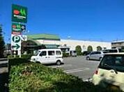 マルエツ田無西原店 603m