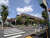 マルエツ立川若葉町店 1036m