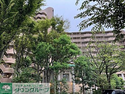 外観 外観