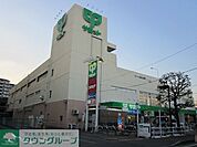 サミットストア中野島店 徒歩15分。スーパー 1130m