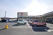 スーパーアルプス飯能美杉台店 1129m