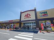 スーパーアルプス入間下藤沢店 527m