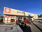 ウエルシア川越仙波2号店 徒歩4分。 250m