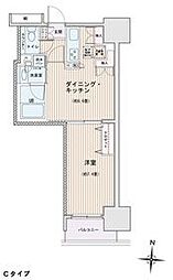 エスティメゾン錦糸町2 1DKの間取図画像