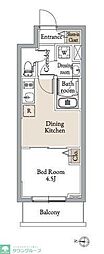 グランカーサ住吉III 1DKの間取図画像