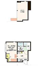 Cayman Terrace 1階1Kの間取り