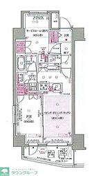エクセレントシティ竹ノ塚駅前 1SLDKの間取図画像
