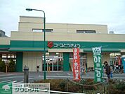 コープみらい柴崎店 徒歩4分。スーパー 310m