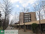 国立東京外国語大学 徒歩7分。大学・短大 540m