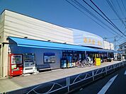 サエキ 550m