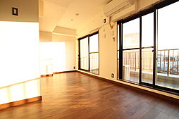 エクセレント中板橋 505 5階ワンルームのリビング/ダイニング