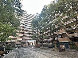 ルネ・ベイグランデ 0309