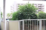 景色