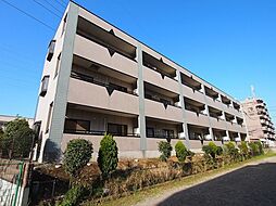 サニードエル5 203