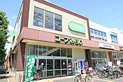 コープみらい コープ新松戸店まで800m