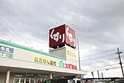 スギ薬局 柏豊四季店まで250ｍ