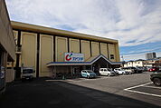 カワチ薬品柏中央店まで350ｍ