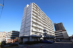 グレイスベアー