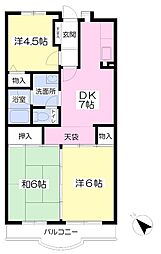 ドルフ原宿 3DKの間取図画像