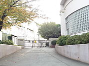 横浜市立汲沢小学校まで260ｍ