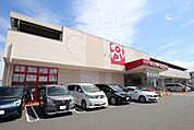 ロピア 石川店まで270ｍ