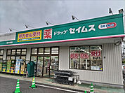 ドラッグセイムス 堀の内店まで550ｍ