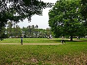 鷺高第五公園（キャンベルタウン公園）まで30ｍ