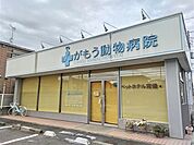 がもう動物病院まで950ｍ
