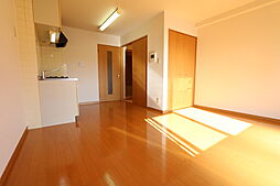 ラ・メゾン・ドゥ・ルウース 307 3階ワンルームのリビング/ダイニング