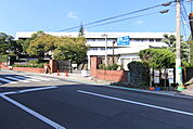 大学