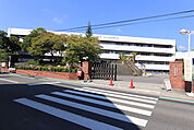 大学