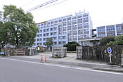 大学