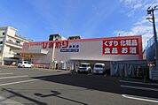 ドラッグストア