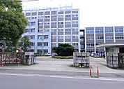 大学