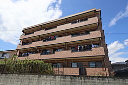 ＰＲＩＭＡ・ＶＥＲＡＶ