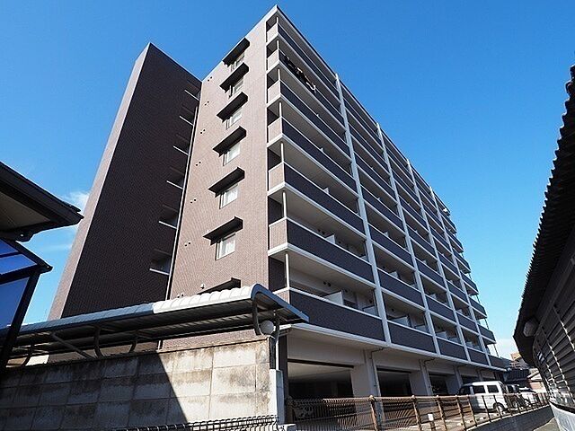 2 / 21