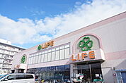 ライフ