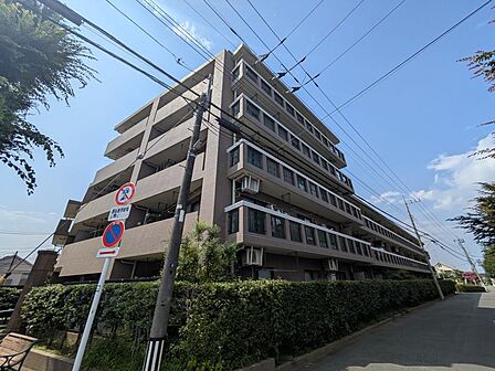 2026年7月撮影☆彡