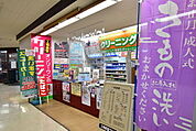 クリーニング