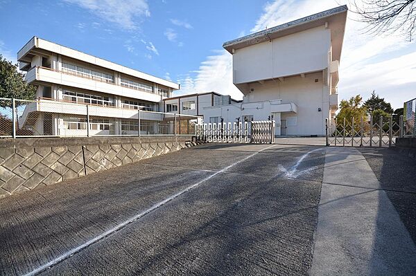 画像4:新里東小学校(750m)