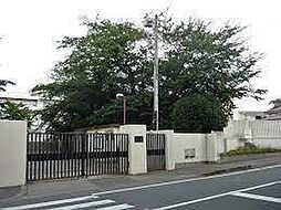 [周辺] 松戸市立第一中学校まで1636m