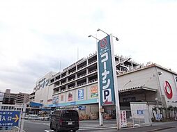 [周辺] ホームセンターコーナン 本羽田萩中店（539m）